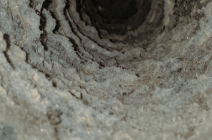 The Importance Of Regular Dryer Vent Cleaning In Your Airbnb